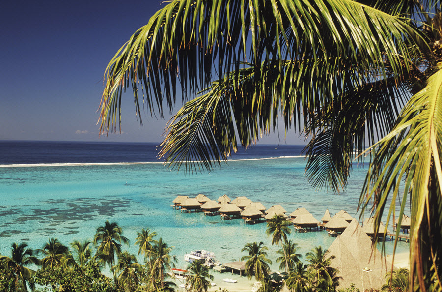 Hawaiian Beach Huts.