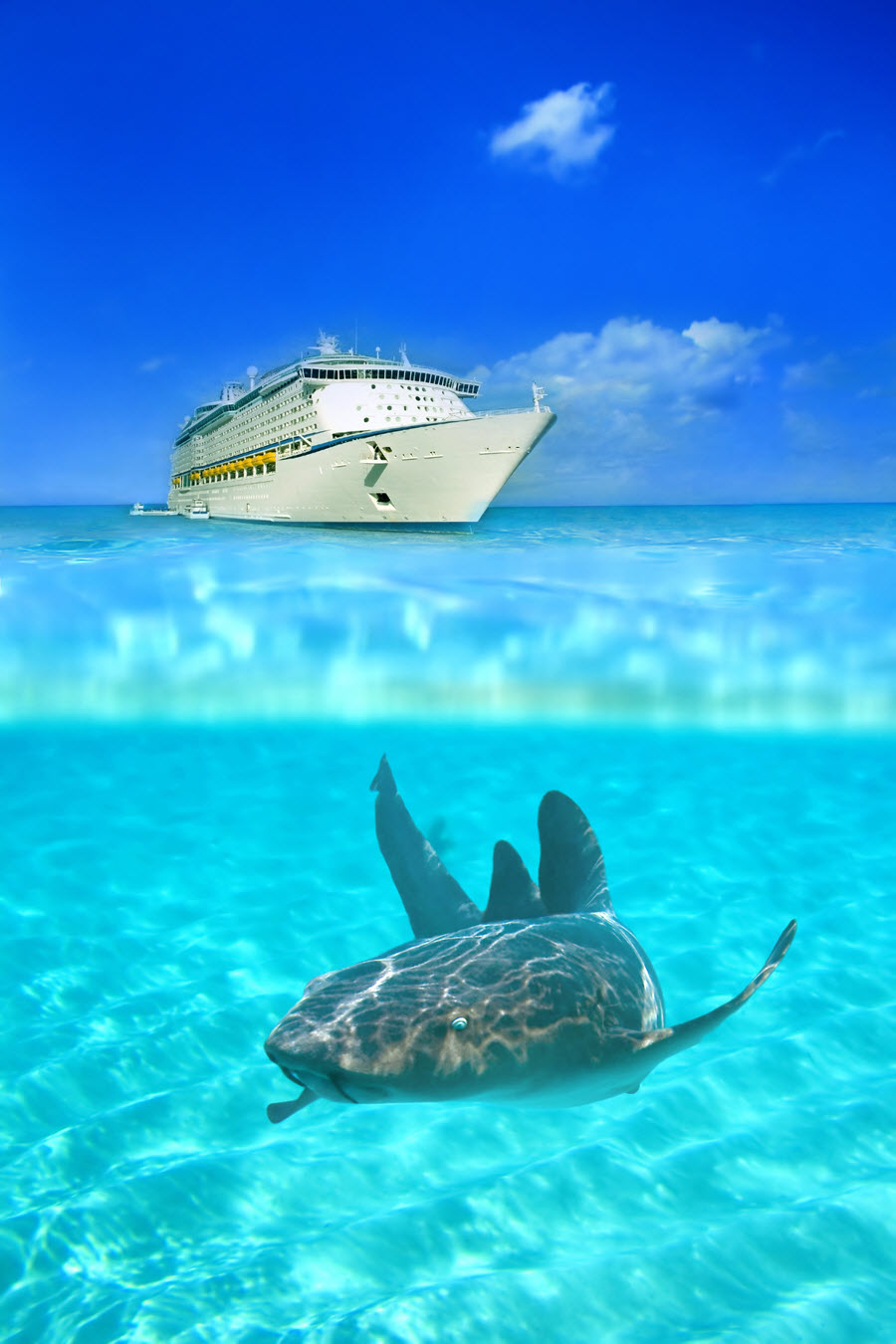 Cruise Ship behind a Nurse Shark off Grand Cayman.